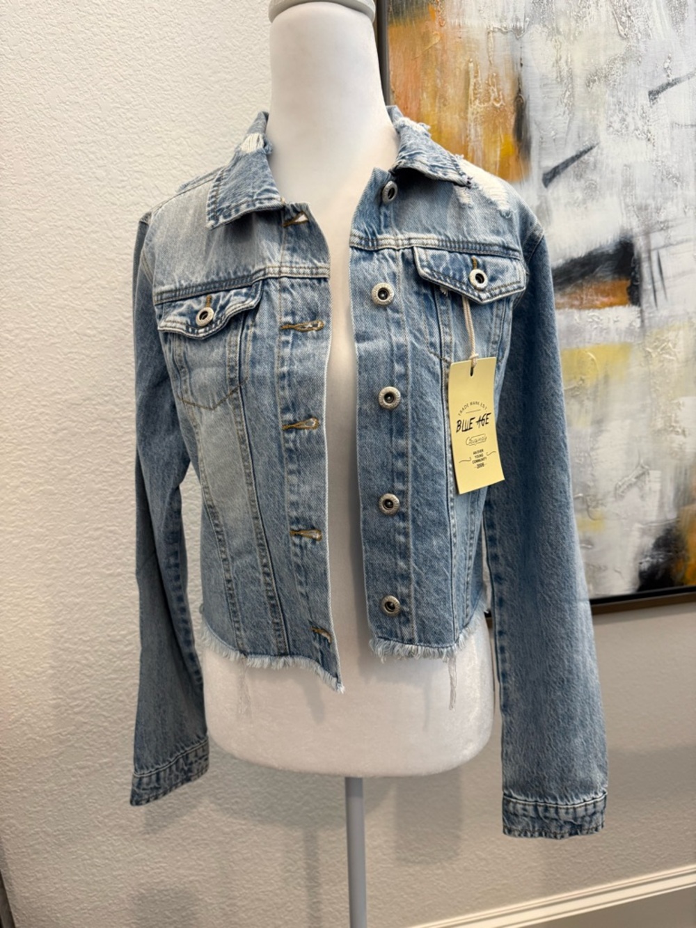 Light Wash Denim Jacket with Purple Chain-Print Back Panel, Medium NWT - Picture 2 of 6